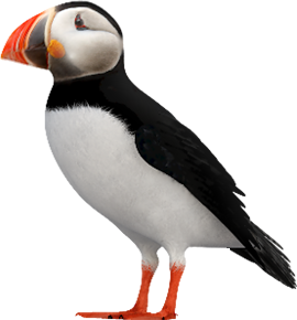Puffin by Matt Hoover Design, Inc.